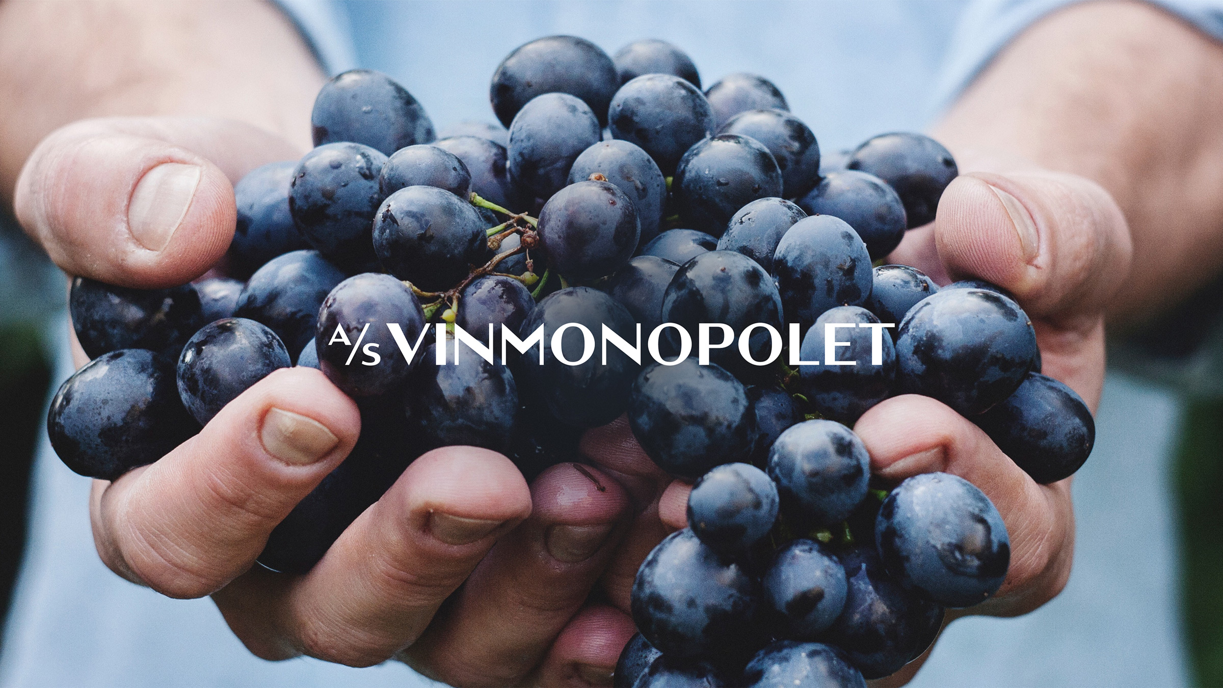 Vinmonopolet-01
