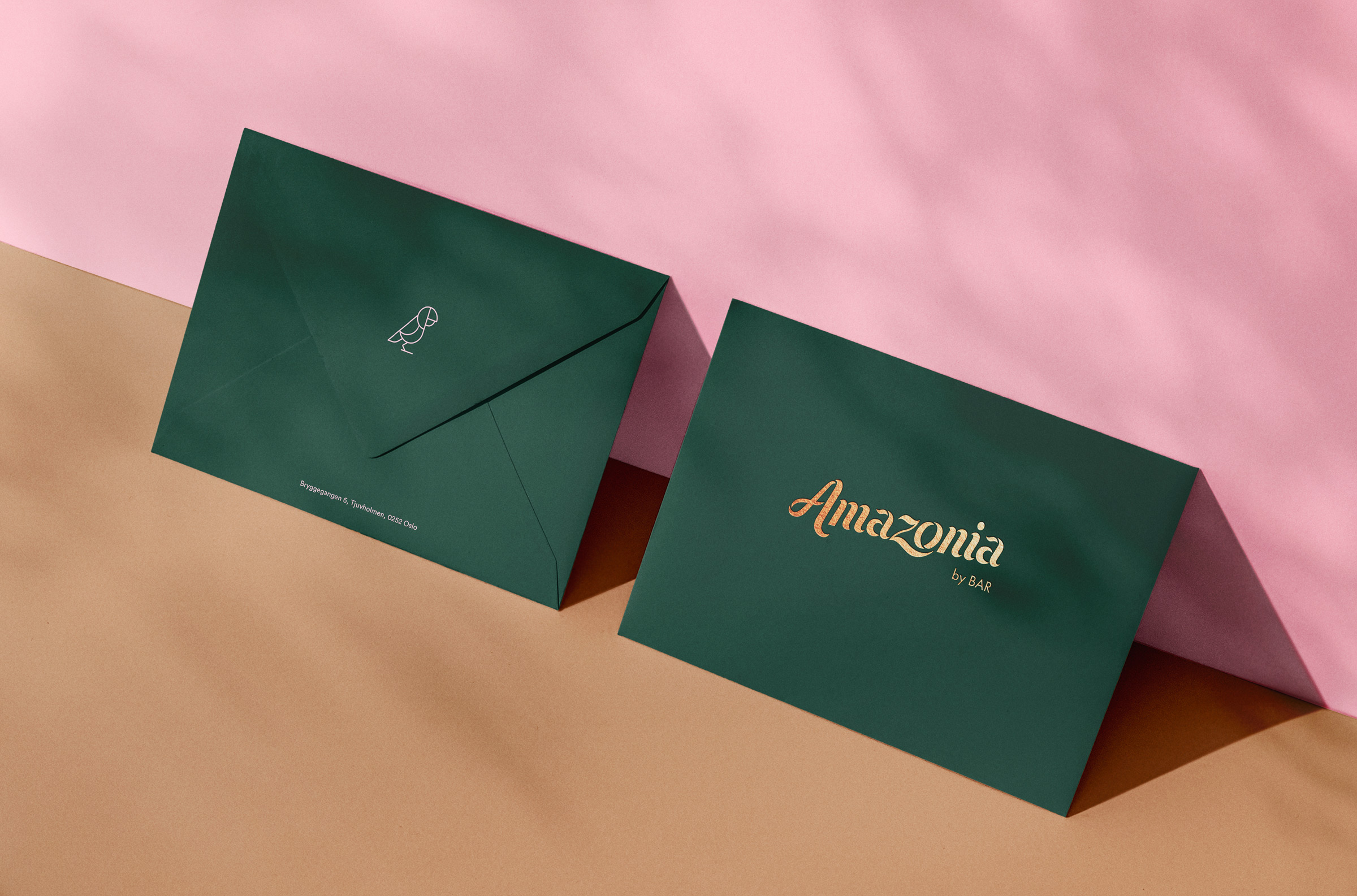 Amazonia_envelopes