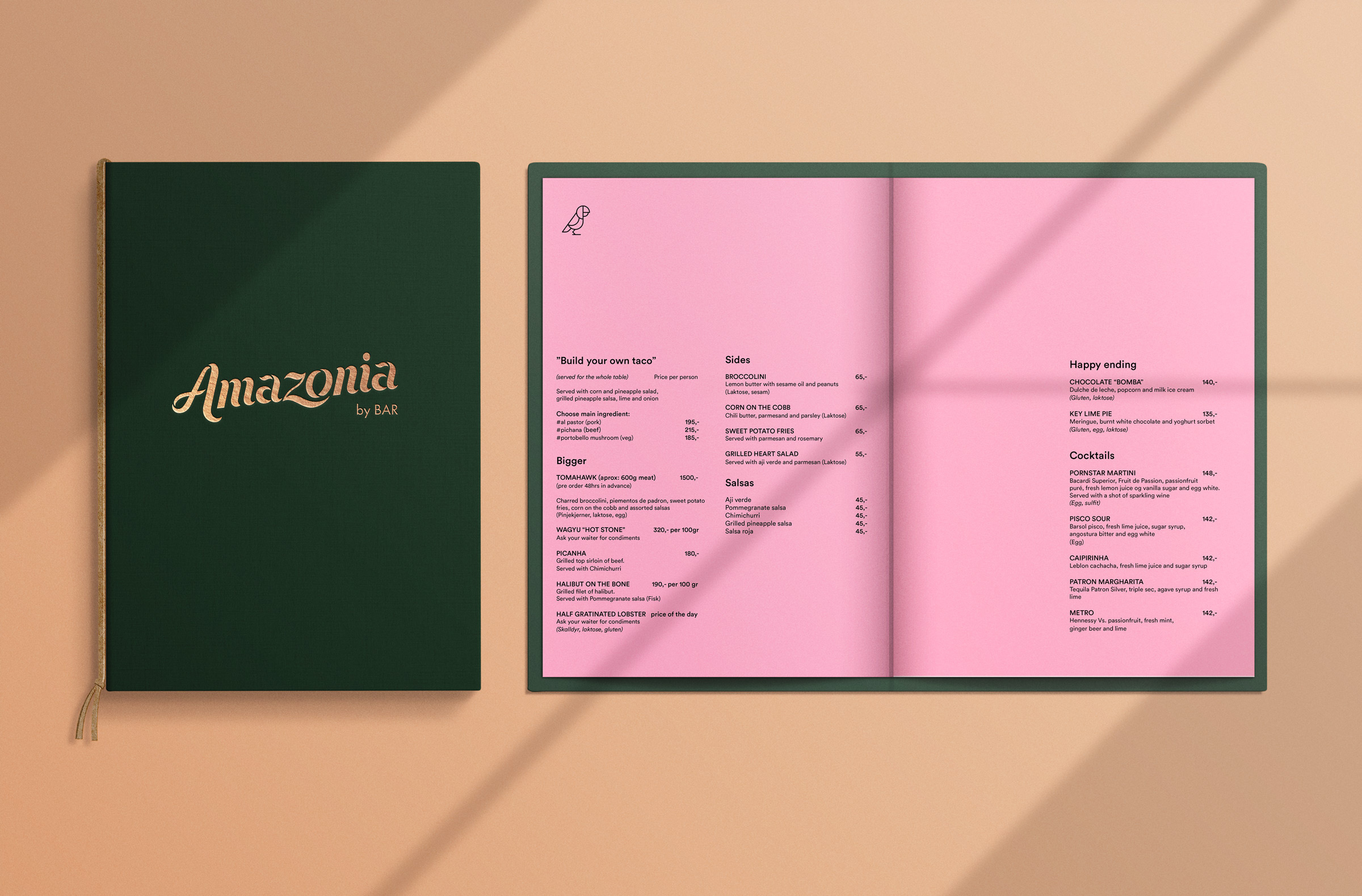 Amazonia_menu_and_pages
